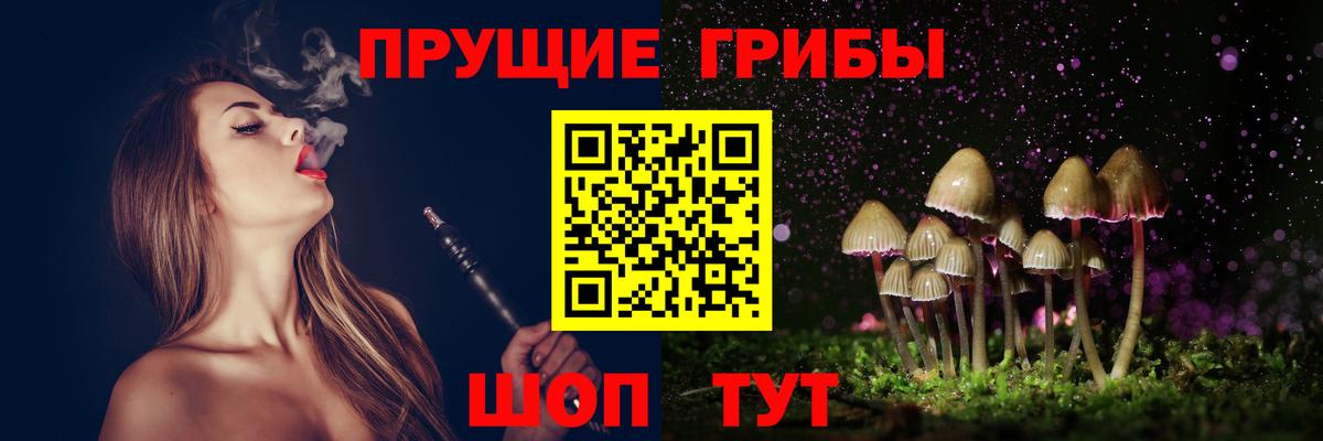 Елабуга  Псилоцибиновые грибы Cubensis  Вход с VPN 
