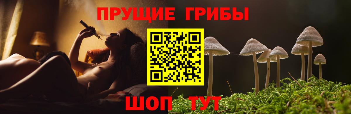 Галлюциногенные грибы GOLDEN TEACHER Елабуга